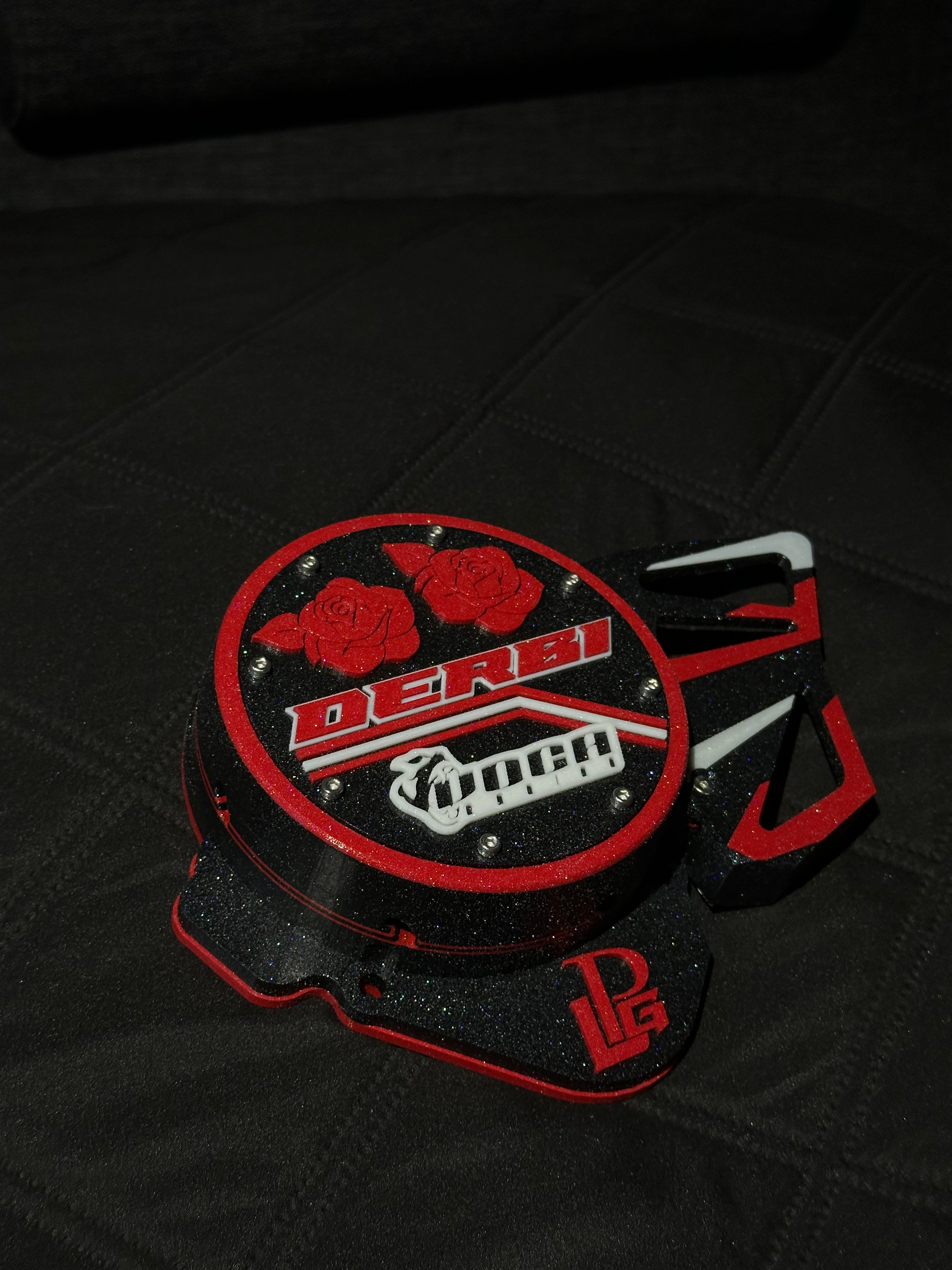 Rabasa full custom ignition cover